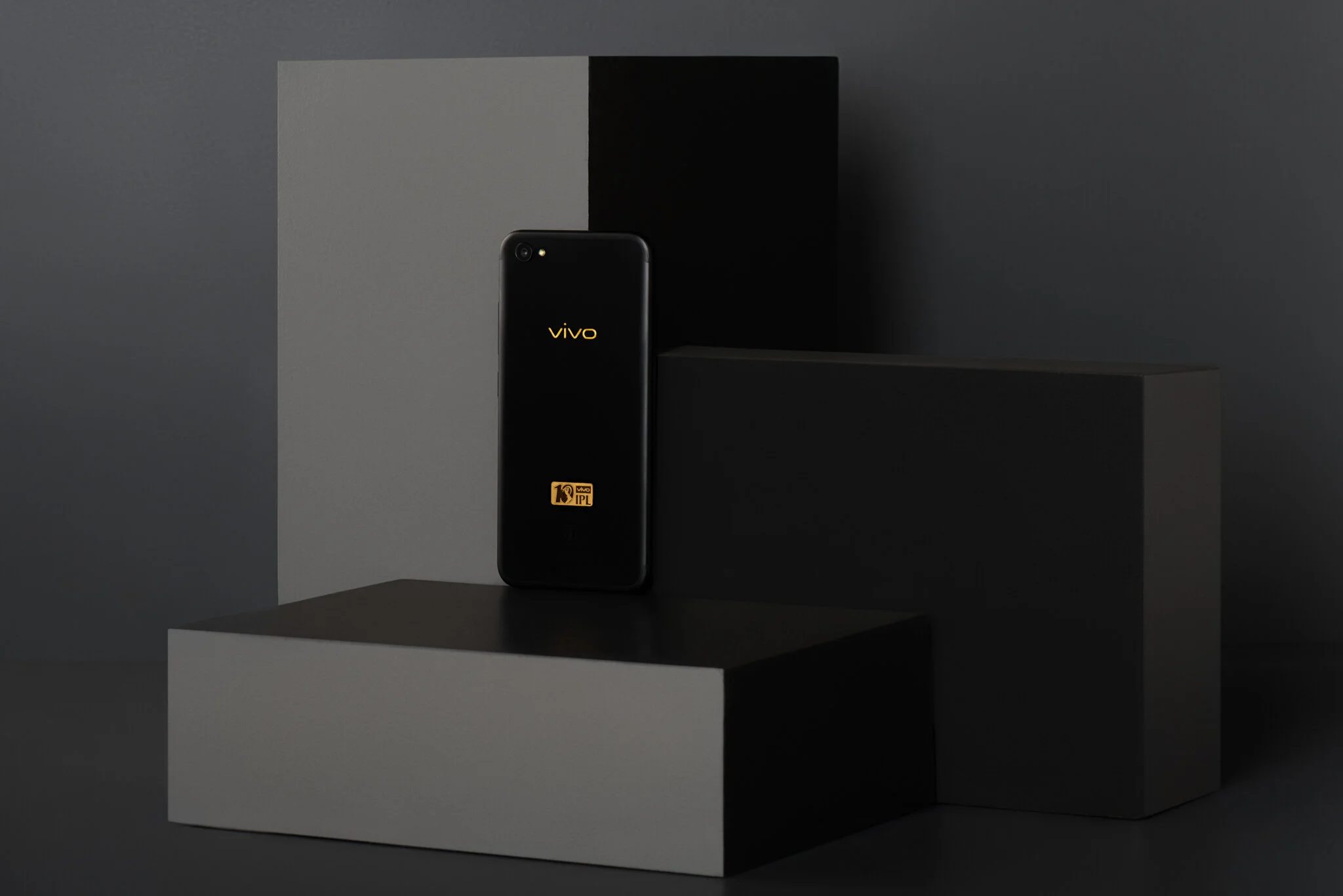 VIVO0284_flat.jpg