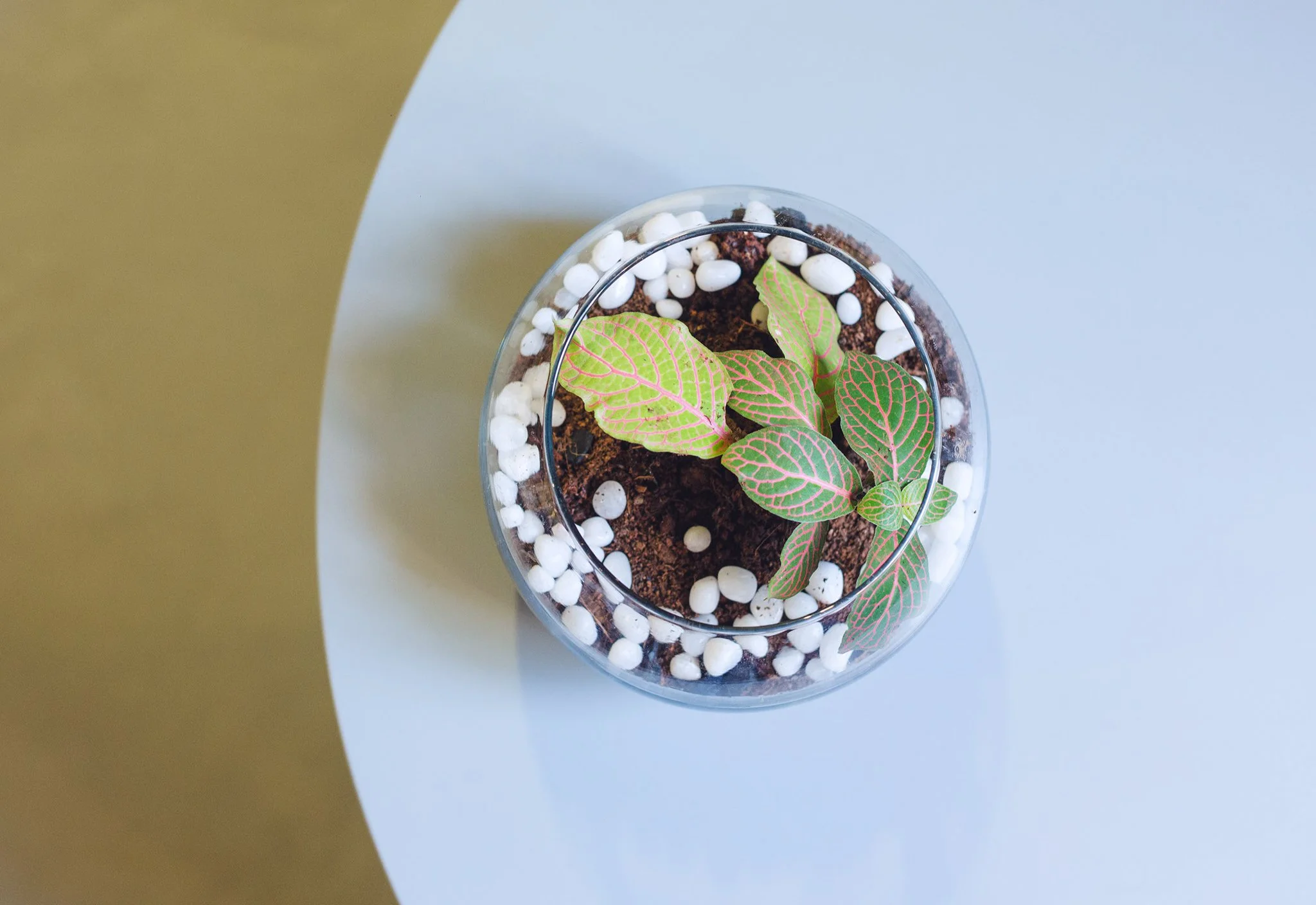 Parizad D - Interior + Architecture Work-42.jpg