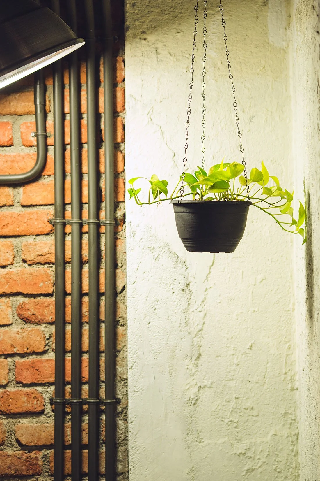 Parizad D - Interior + Architecture Work-44.jpg