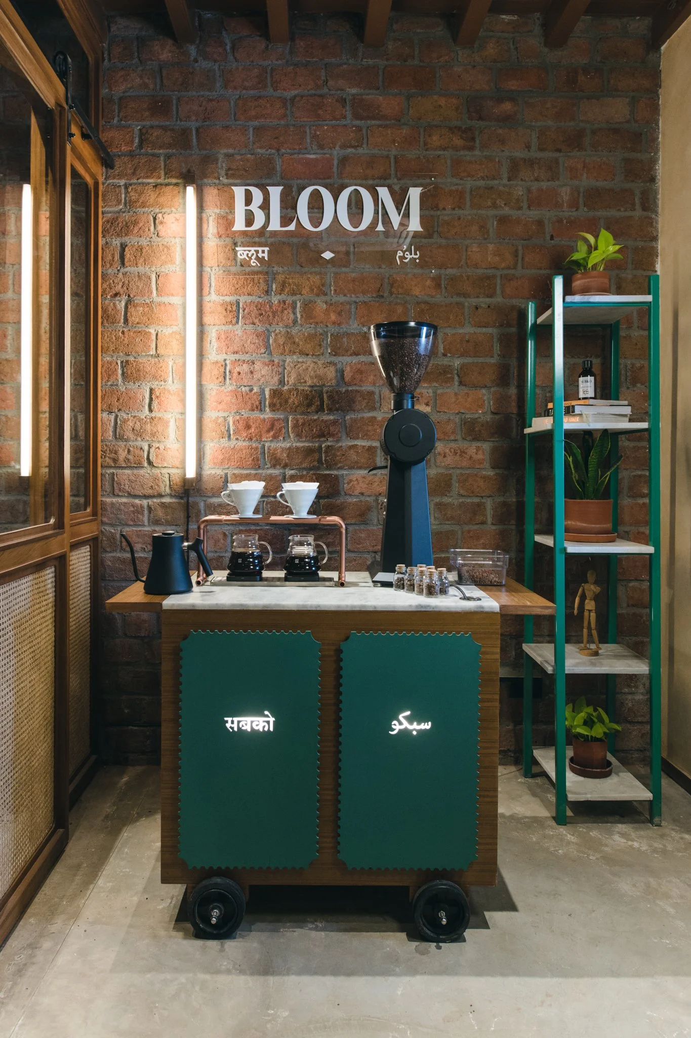 25032023_Parizad D__MSA4099-Edit.jpg