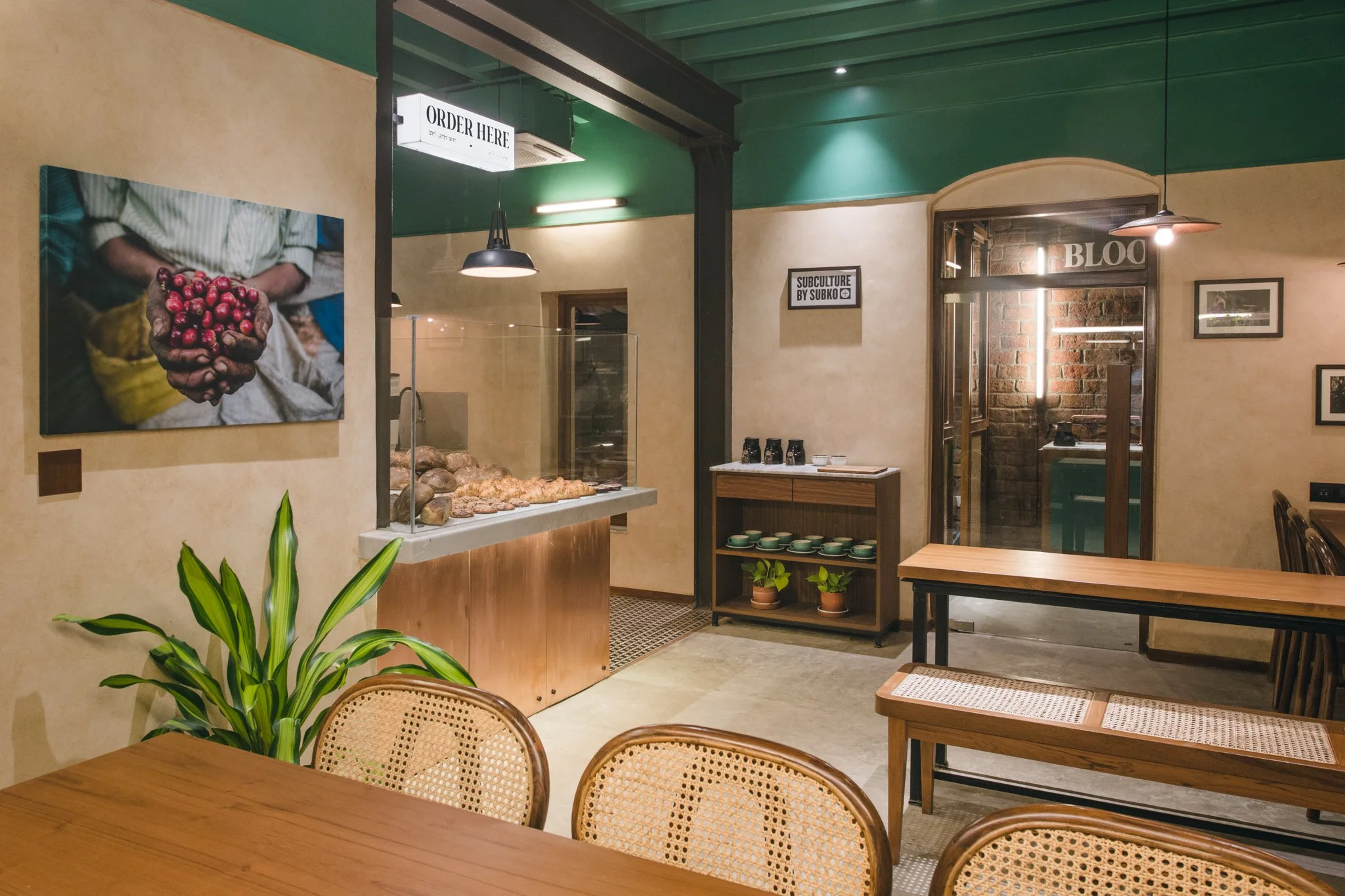 25032023_Parizad D__MSA5819-Edit.jpg