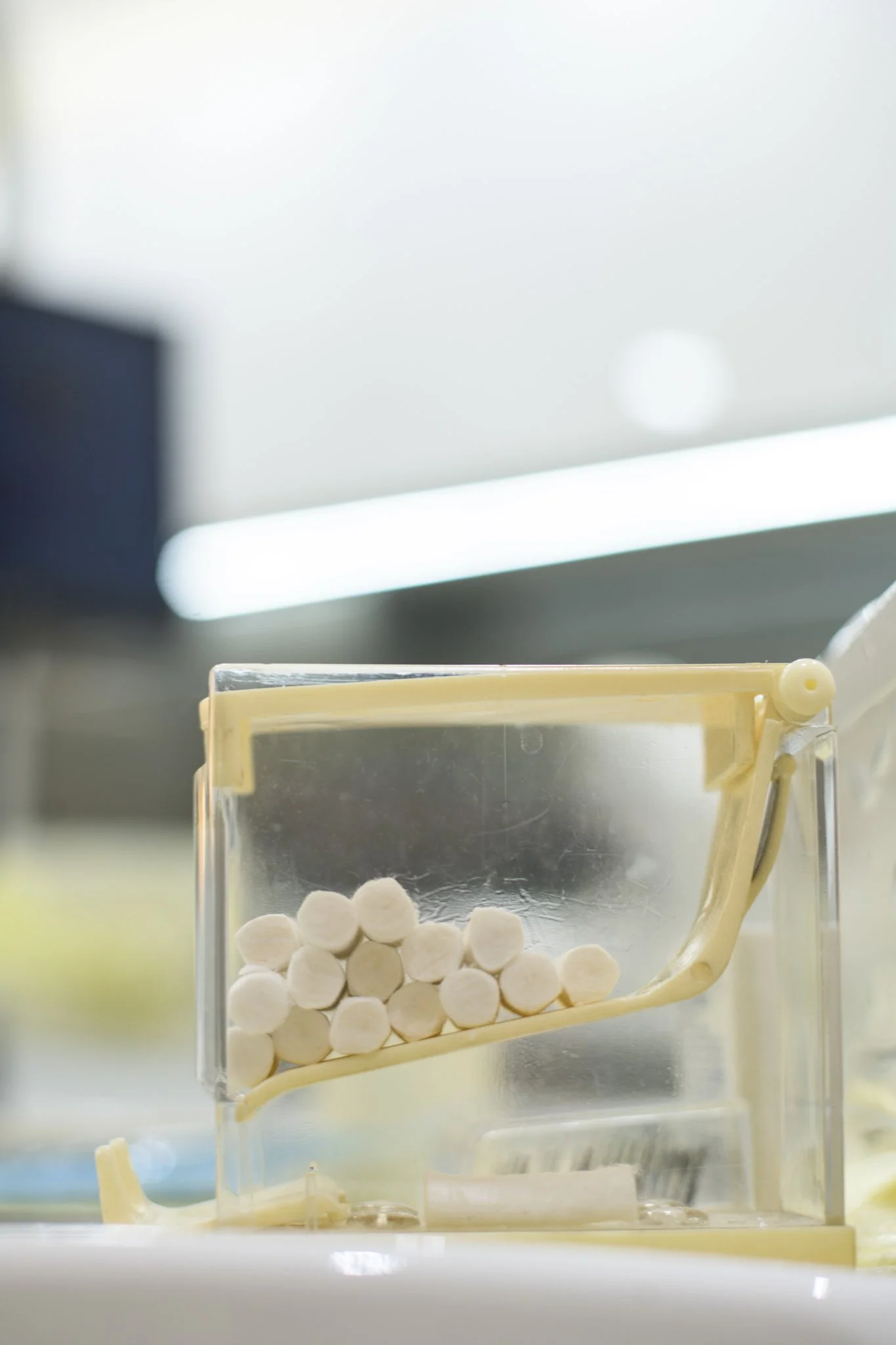 21052023_Parizad D_DSC1691.jpg