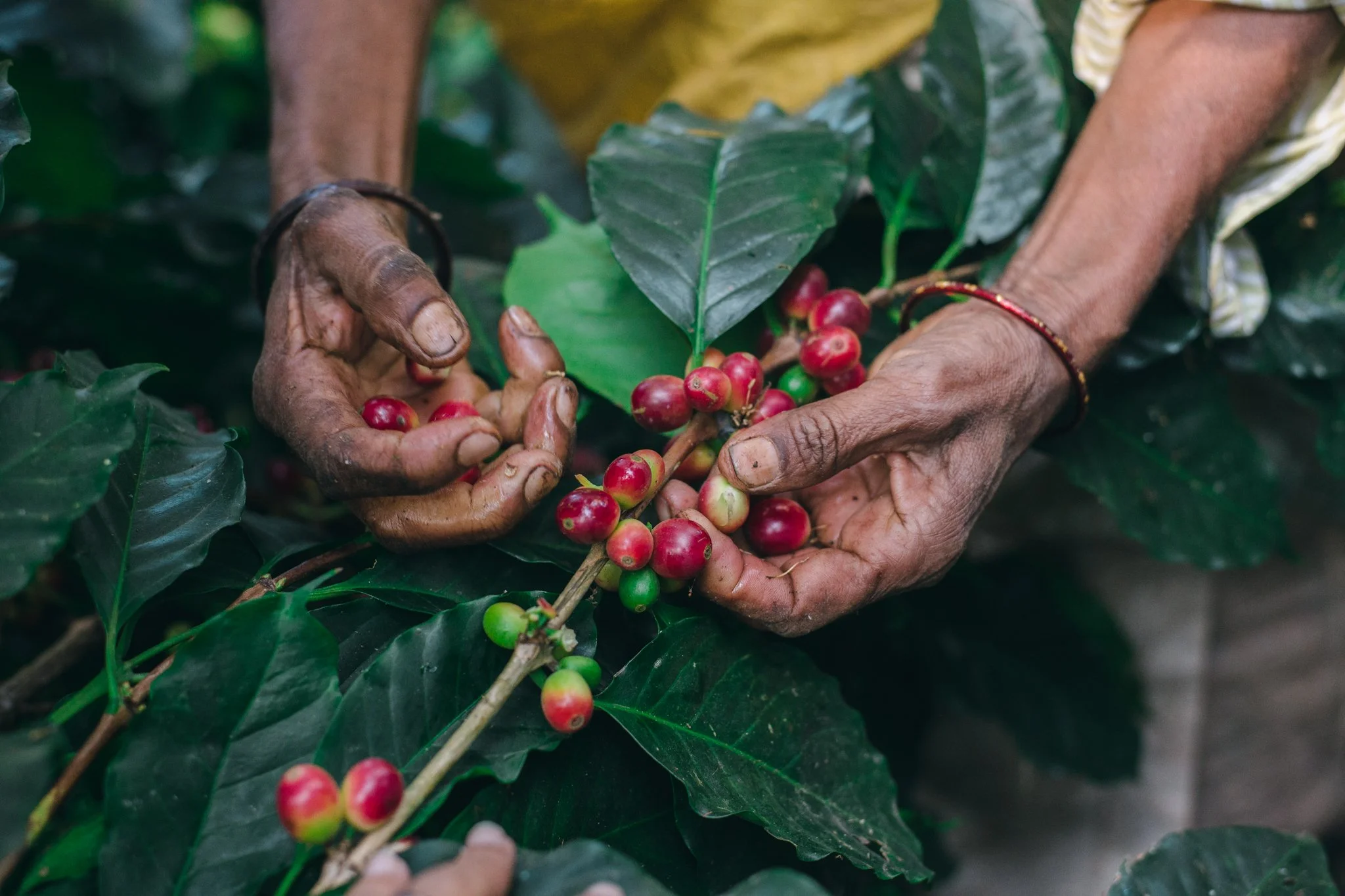 21052023_Parizad D_DSC0323.jpg