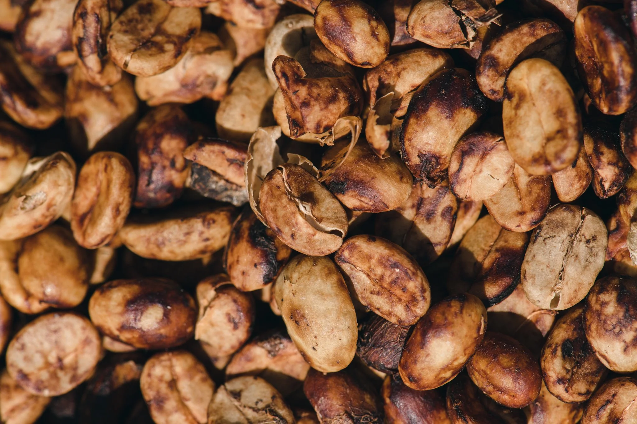 21052023_Parizad D_DSC0630.jpg