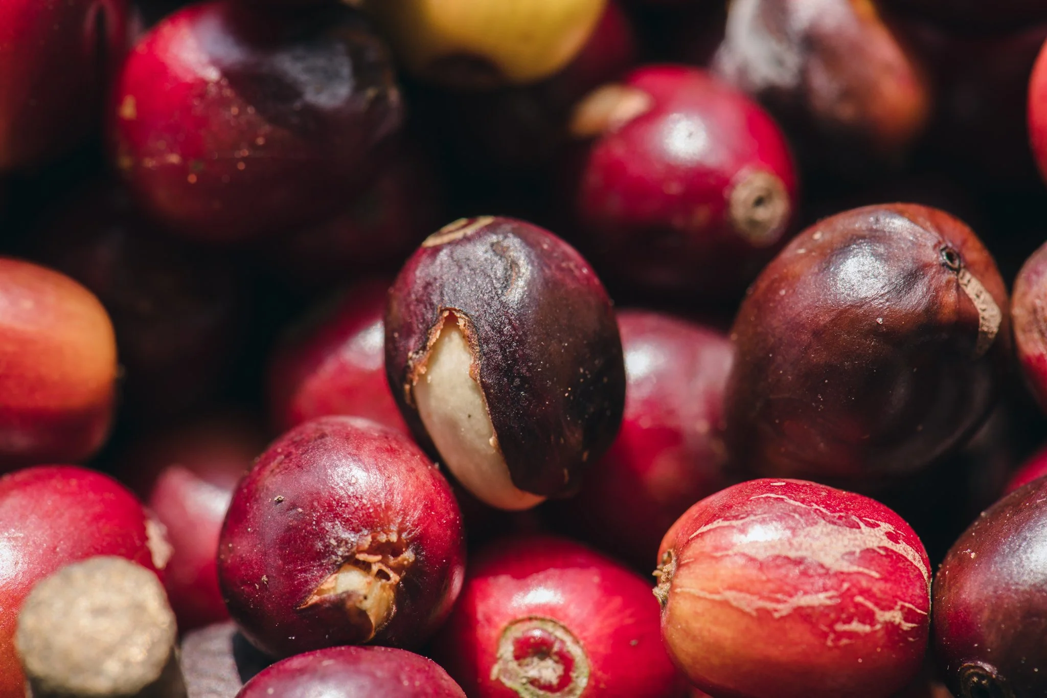 21052023_Parizad D_DSC0995.jpg