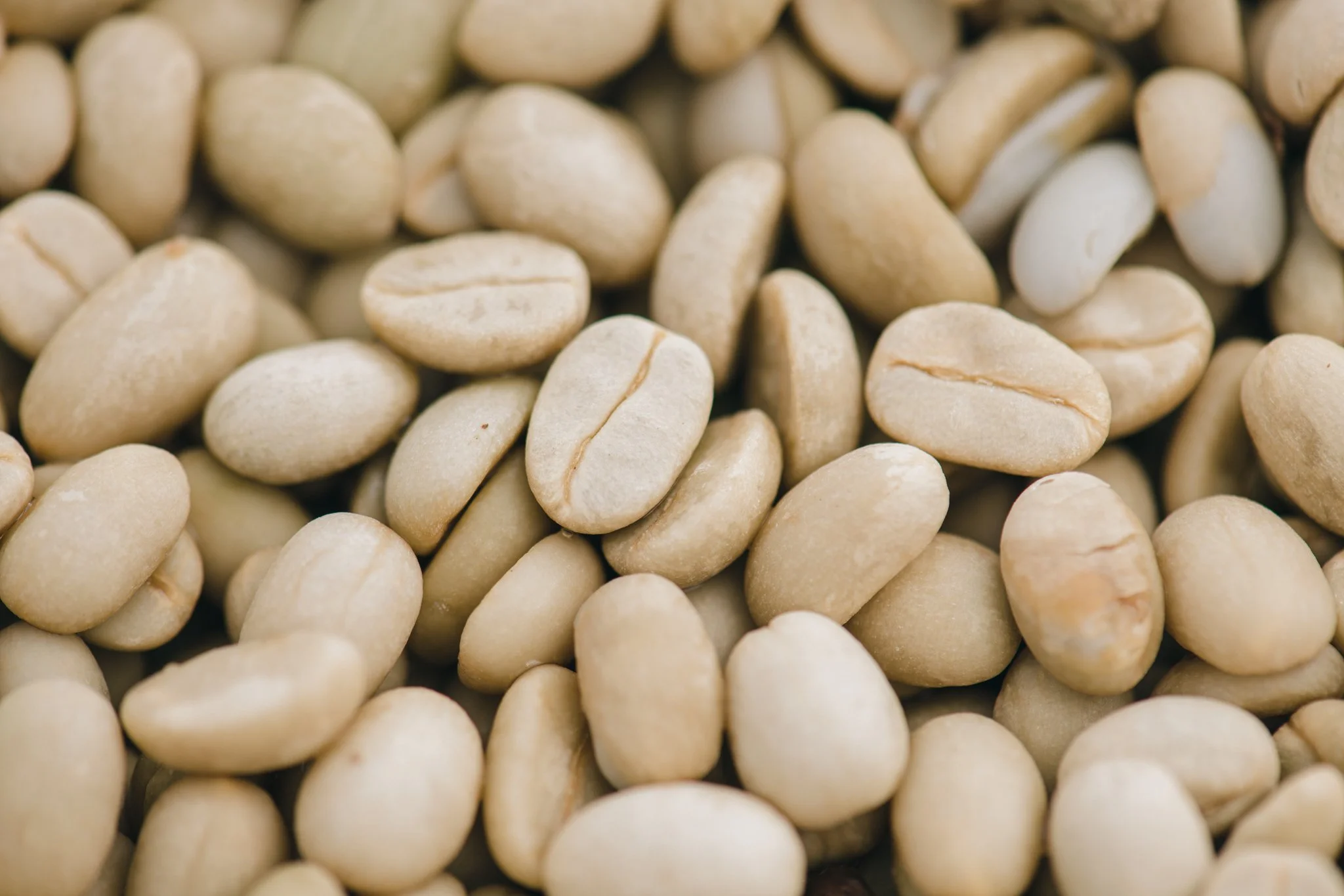 21052023_Parizad D_DSC1130.jpg