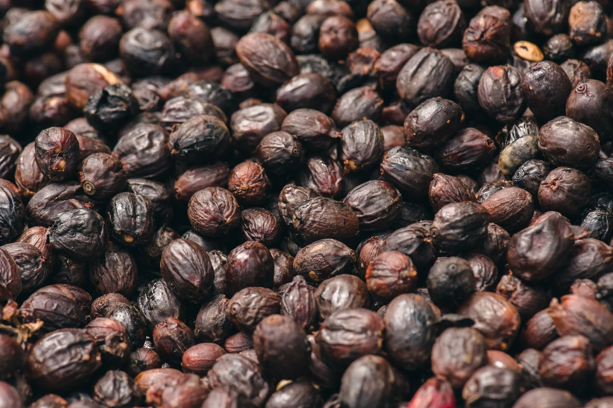 21052023_Parizad D_DSC1151.jpg