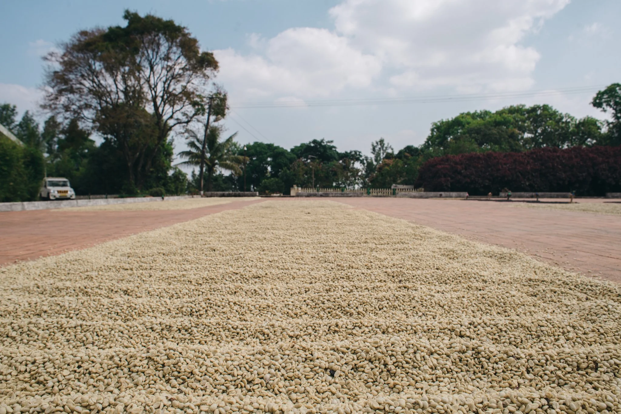 21052023_Parizad D_DSC1208.jpg