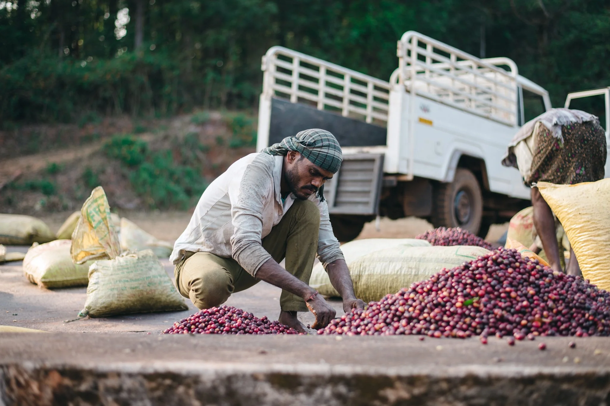 21052023_Parizad D_DSC1526.jpg