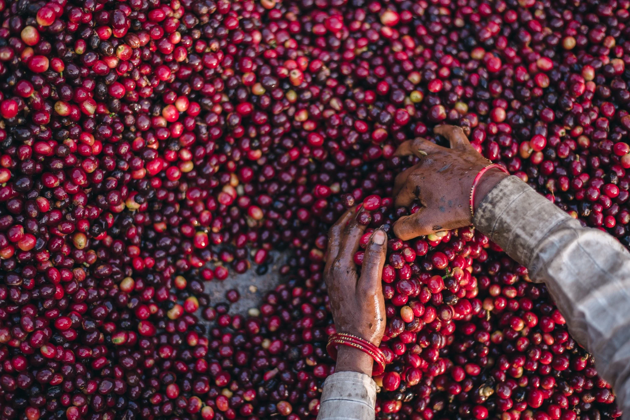 21052023_Parizad D_DSC1548.jpg