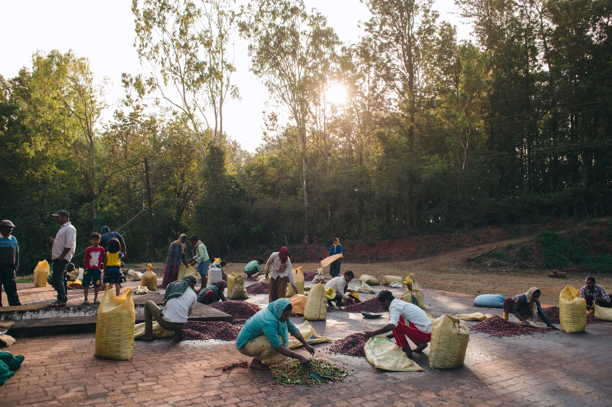 21052023_Parizad D_DSC1556.jpg