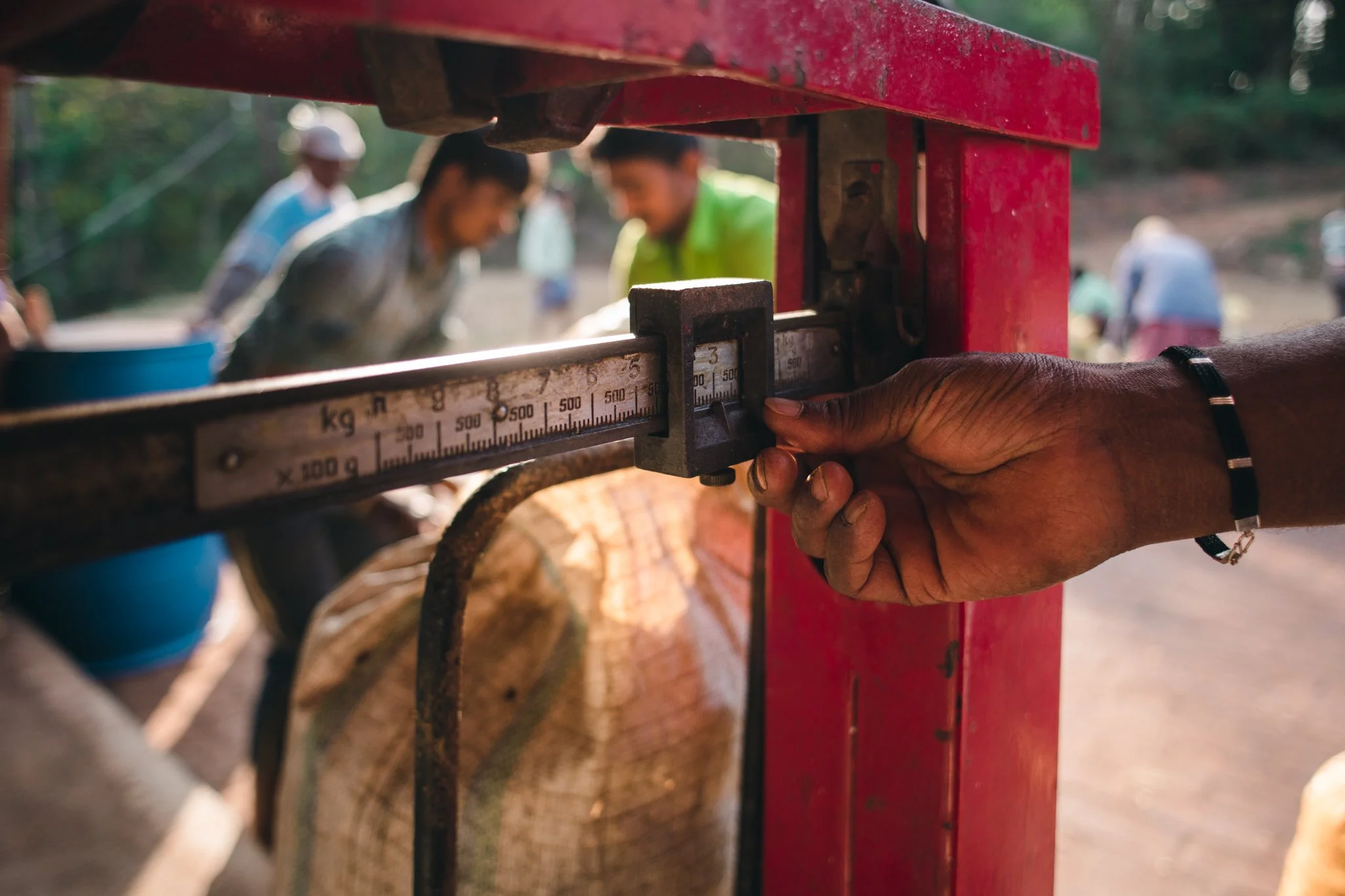 21052023_Parizad D_DSC1610.jpg