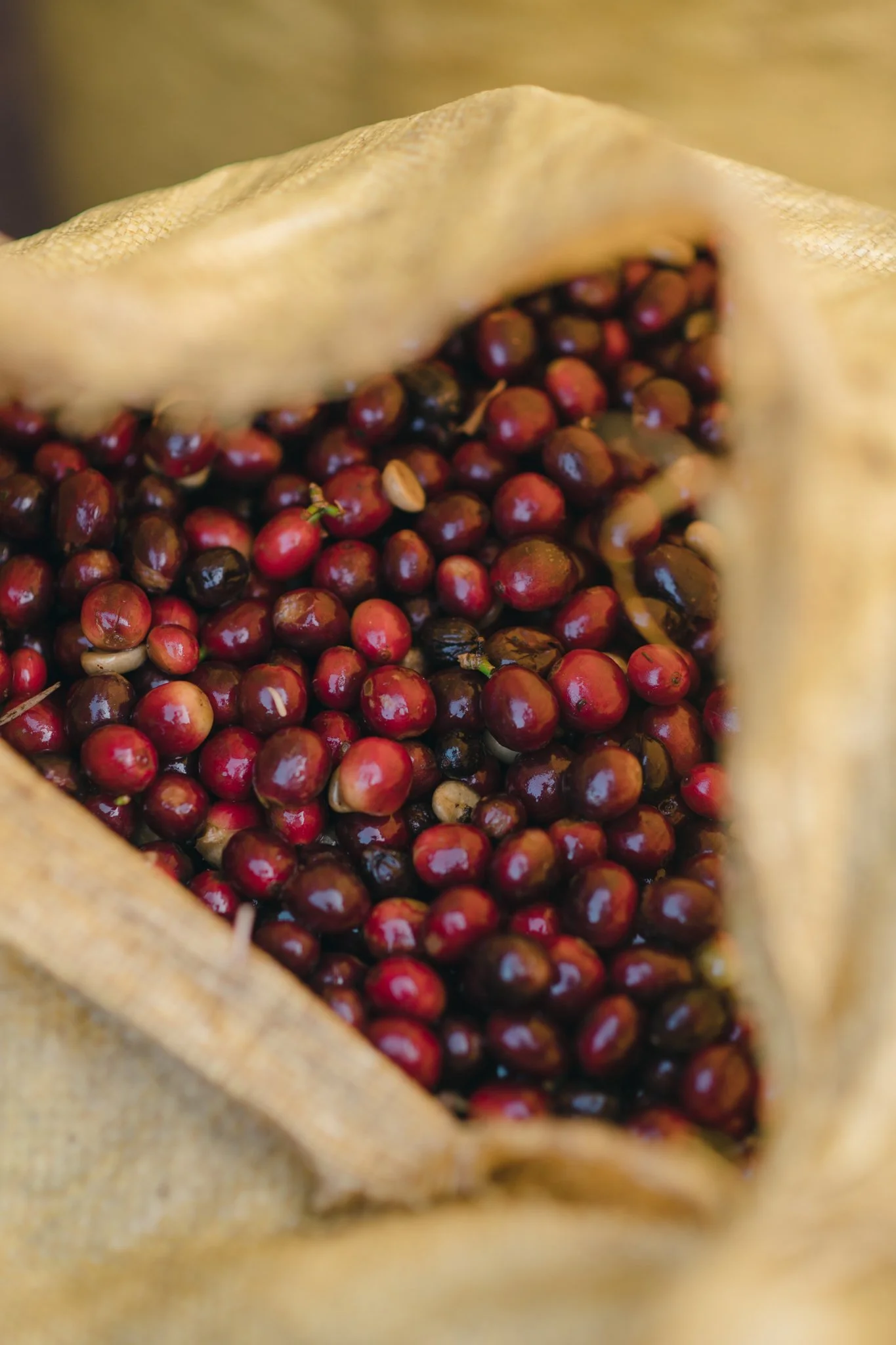 21052023_Parizad D_DSC1651.jpg