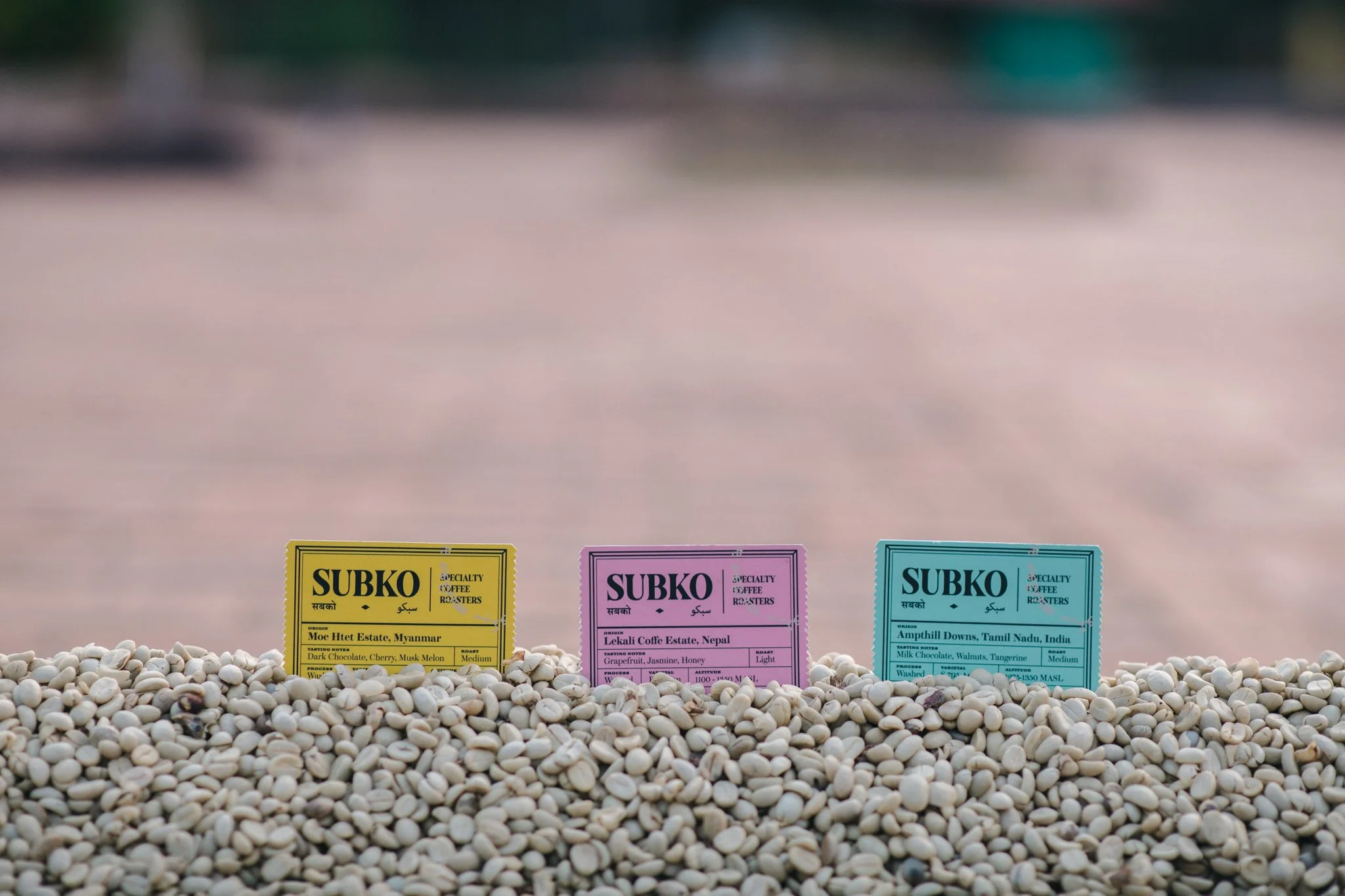 21052023_Parizad D_DSC1892.jpg