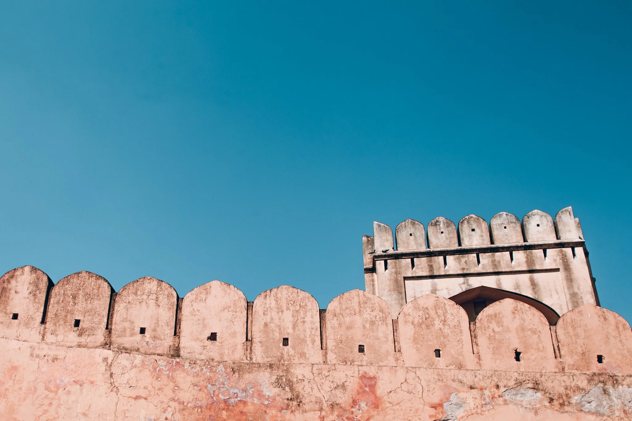 12042023_Parizad D__MG_1056.jpg