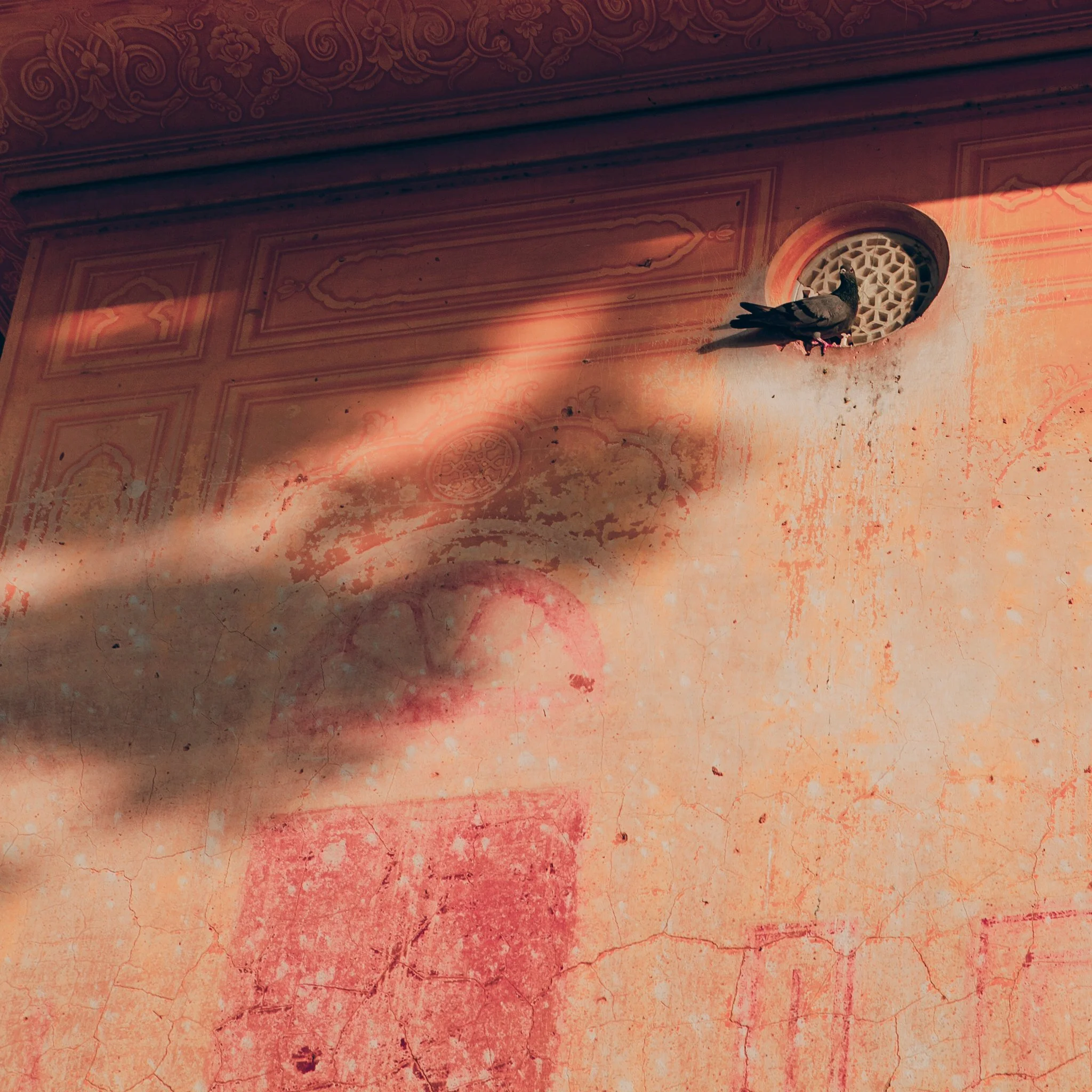 12042023_Parizad D_MG_1400.jpg