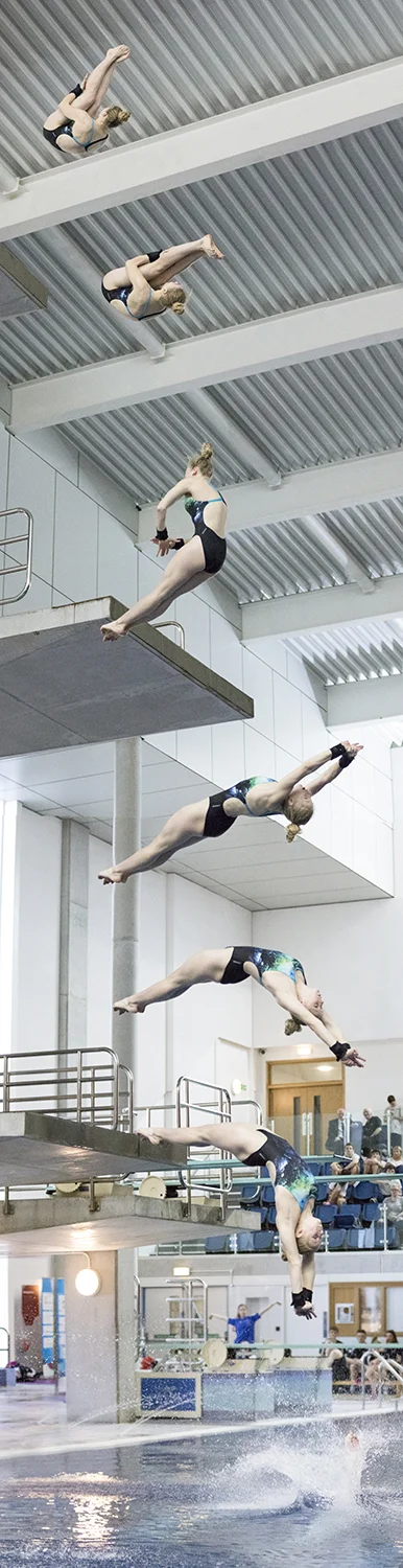 Madeline Angell (dive panorama squarespace]).jpg