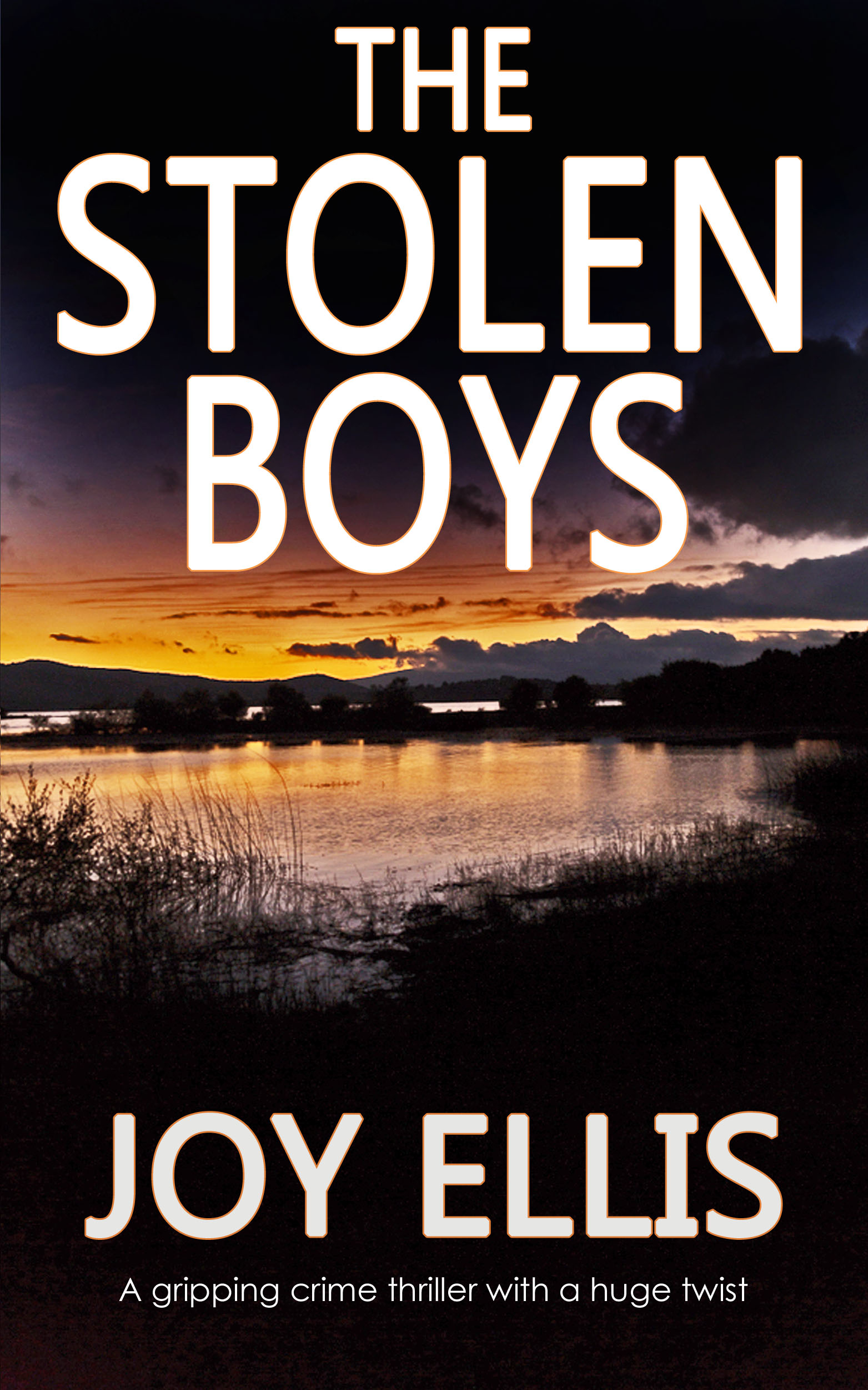 THE STOLEN BOYS.jpg