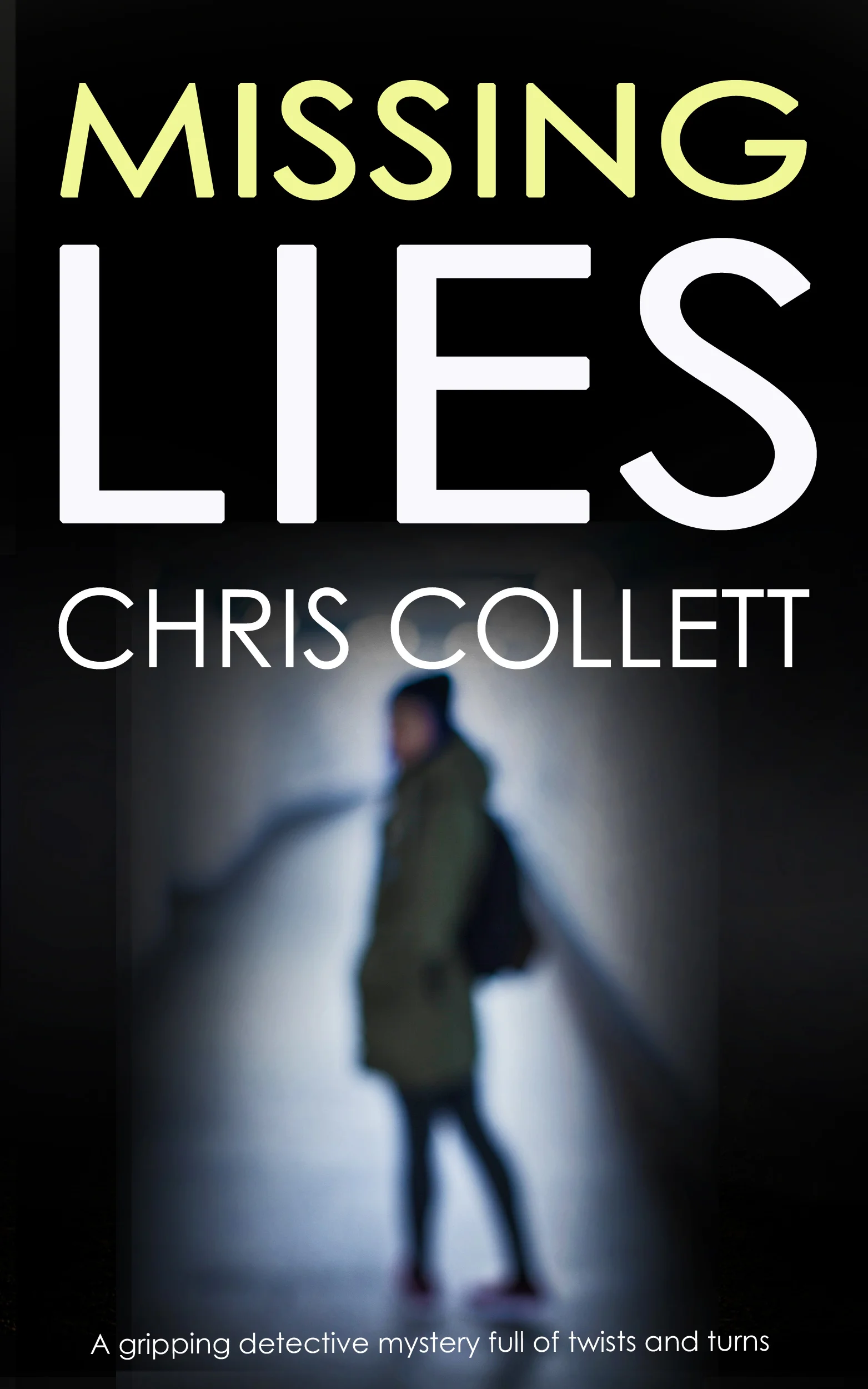 MISSING LIES 3.jpg