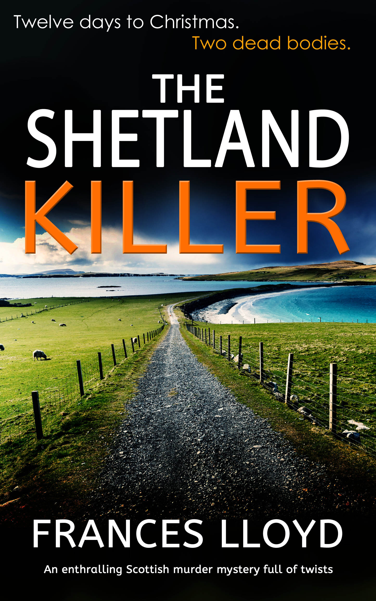 The Shetland Killer publish.jpg