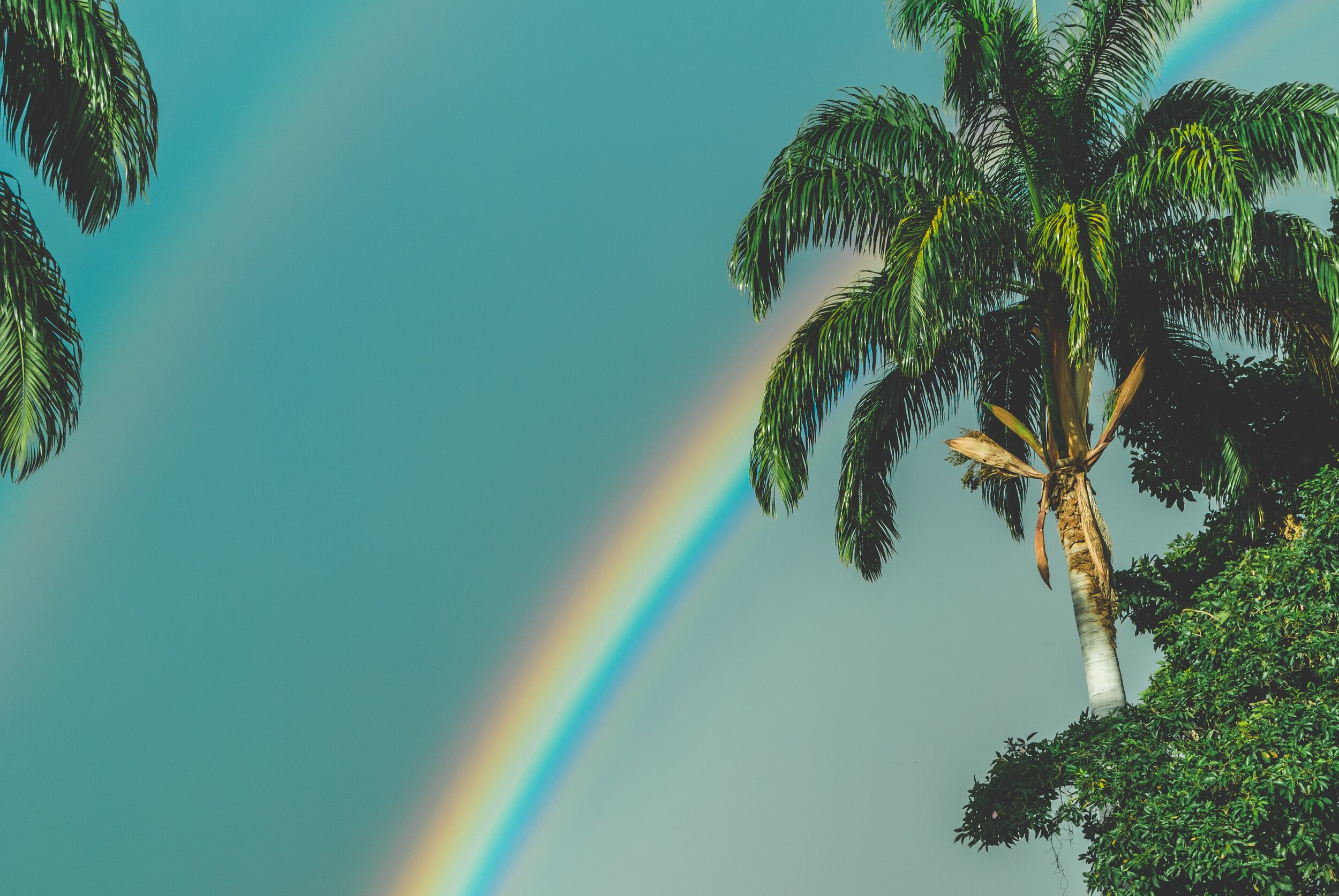 <span>Photo by <a href="https://unsplash.com/@jdrincs?utm_source=unsplash&amp;utm_medium=referral&amp;utm_content=creditCopyText">JD Rincs</a> on <a href="https://unsplash.com/s/photos/rainbow?utm_source=unsplash&amp;utm_medium=referral&amp;utm_cont…
