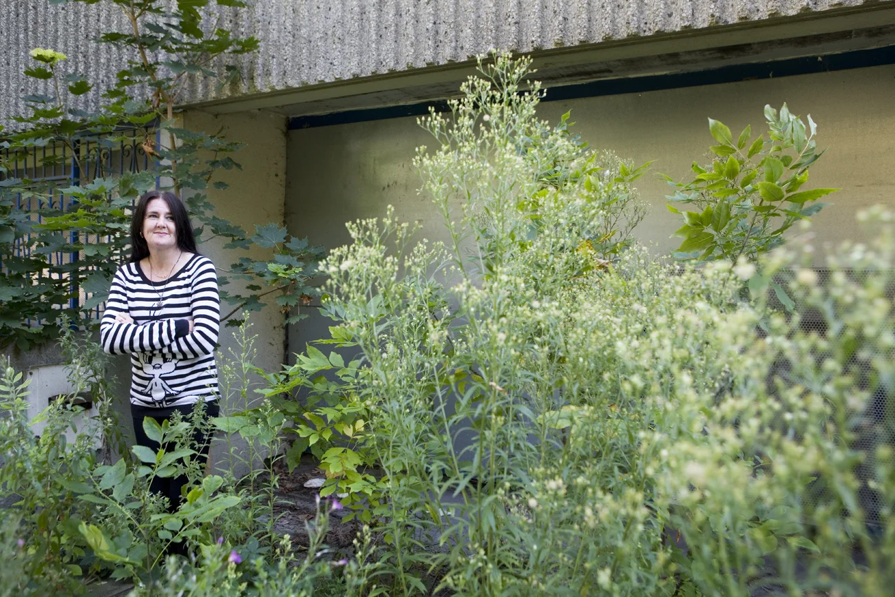 Angie Ferrier Estate, London