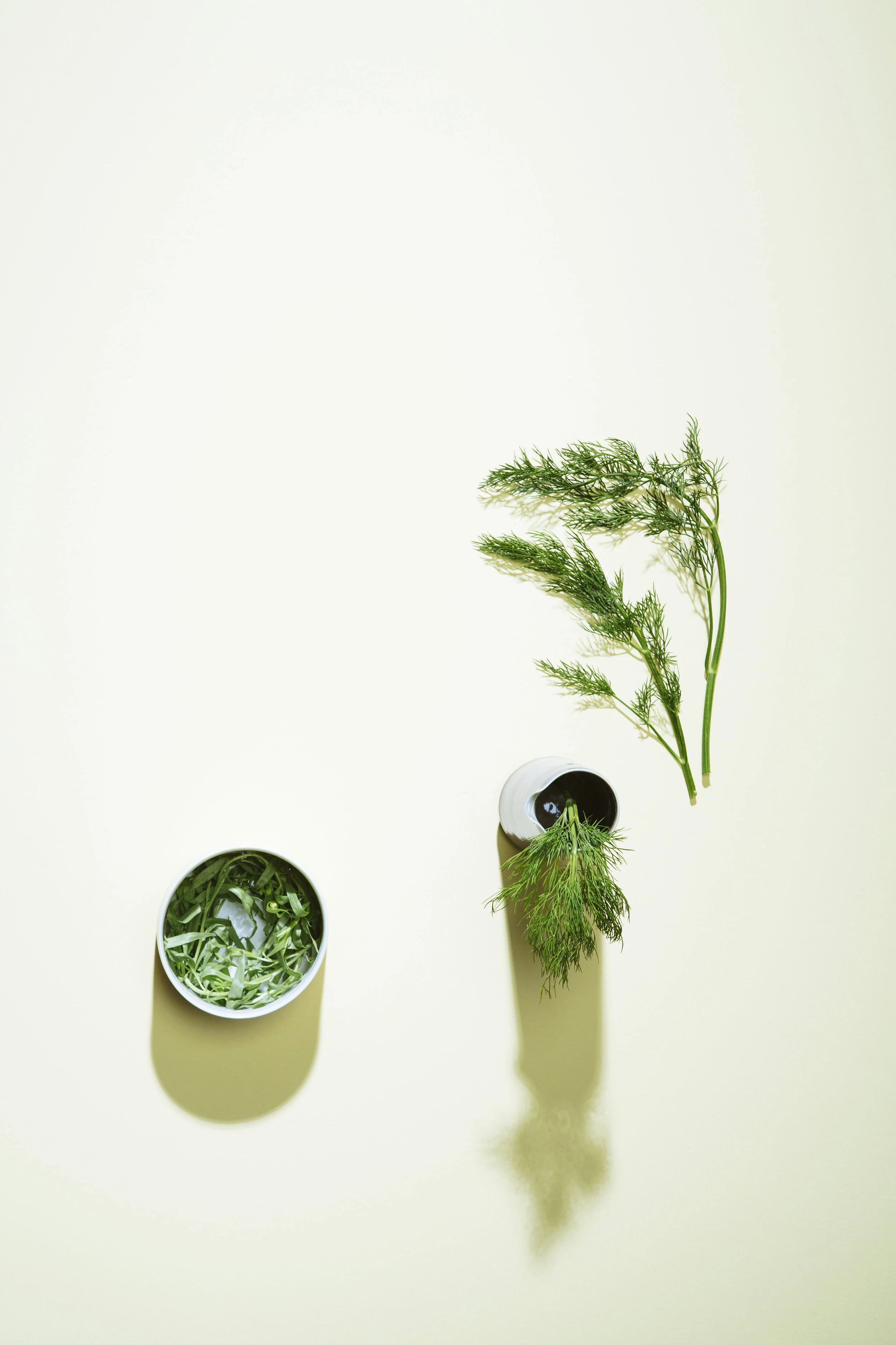 Mustard_03_Dill & Tarragon.jpg