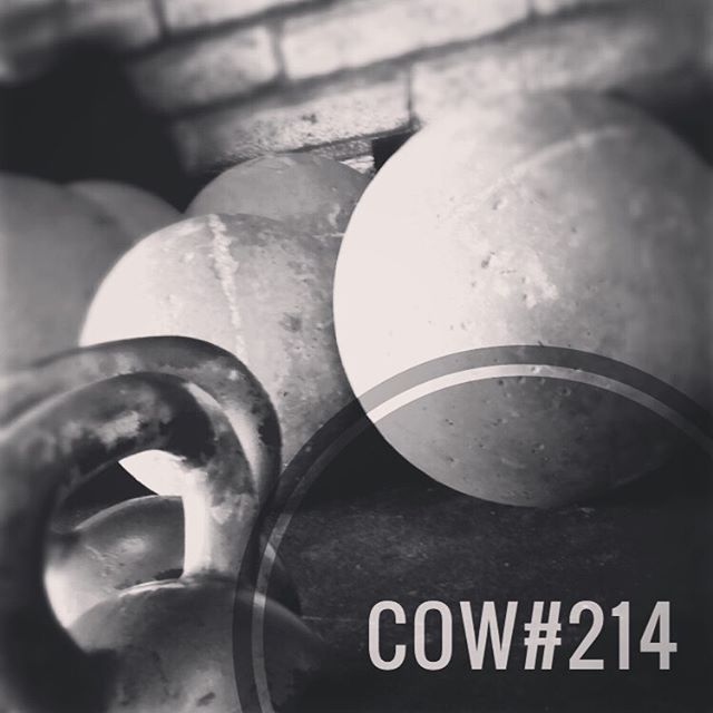 COW#214
&bull;&bull;&bull;
This will be a SMOKER. I hope y&rsquo;all dig it.
&bull;&bull;&bull;
18min Work Session:
-2 Stone Shoulder (1r/1l) @ Heavy
-4 D. KB Cleans
-6 D. KB Front Squats
-8 D. KB Walking Lunges (Farmers)
-100&rsquo; Sled Push @ AHAP