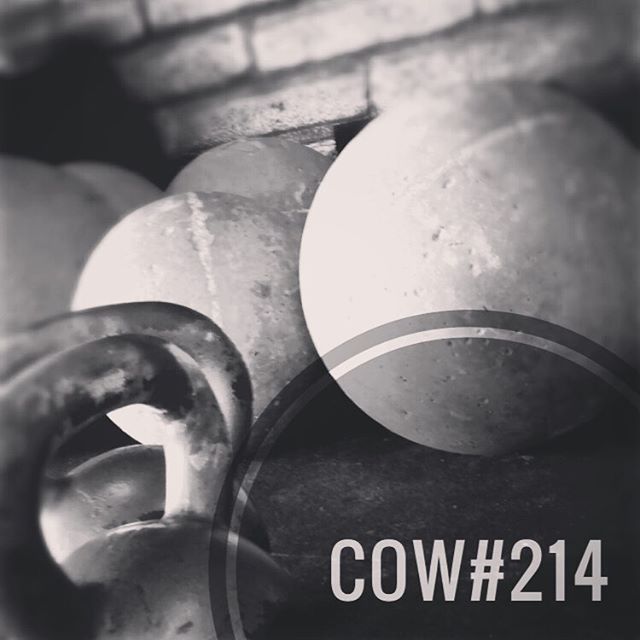 COW#214
•••
This will be a SMOKER. I hope y’all dig it.
•••
18min Work Session:
-2 Stone Shoulder (1r/1l) @ Heavy
-4 D. KB Cleans
-6 D. KB Front Squats
-8 D. KB Walking Lunges (Farmers)
-100’ Sled Push @ AHAP
•••
The KB work should be performed as an unbroken complex. Go AHAP as long as you can go from the cleans right to the front squats and farmers hold walking lunges. The sled needs to be a grueling grind. You’re not going to worry about speed - just weight. Your goal should be to limit yourself to ONE pit stop during the 100’ push each round. ONE!
•••
Any questions? Drop them below. Enjoy!
.
.
.
.
.
.
.
#tcs #traviscountystrength #LIFT #LIFT4women #strengthtraining #strengthandconditioning #strongman #gym #squats #austin #atx #simplenoteasy #leadfromthefront #totallysatisfied #cow