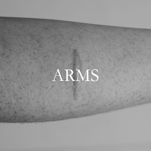 Arms (2).png