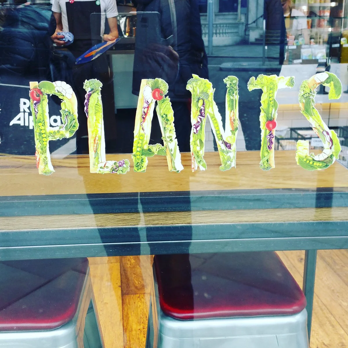 Plants.jpg