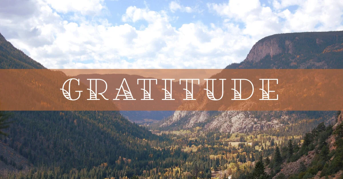 An Attitude of Gratitude: Finding Meaning and Empowerment During Times of Difficulty