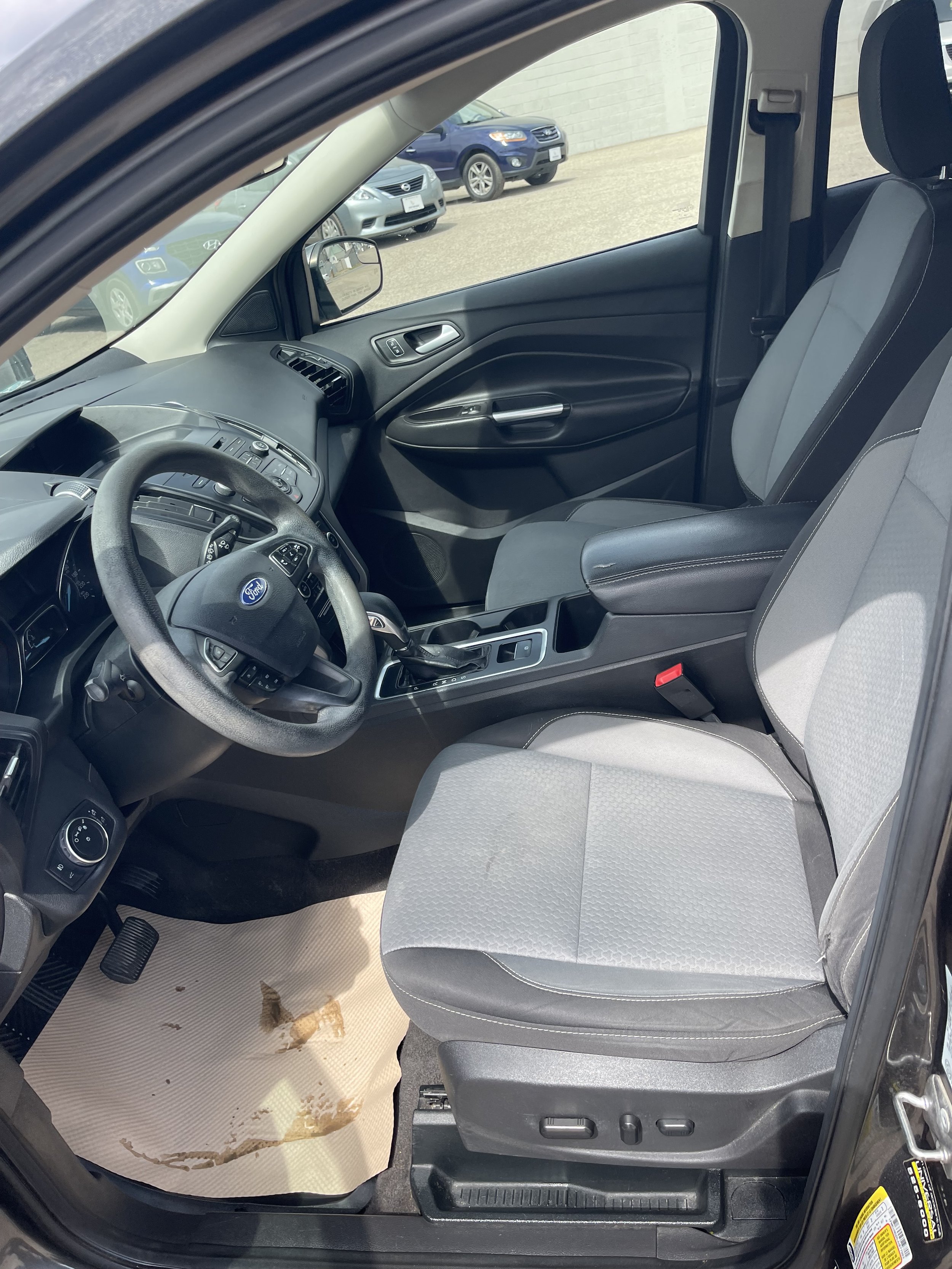 image5.jpeg