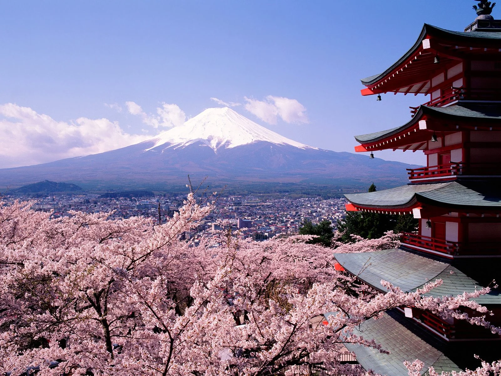 blog japan.jpeg