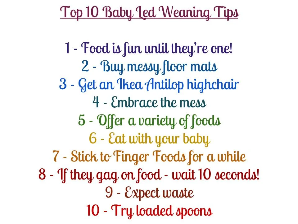 baby led weaning and breastfeeding