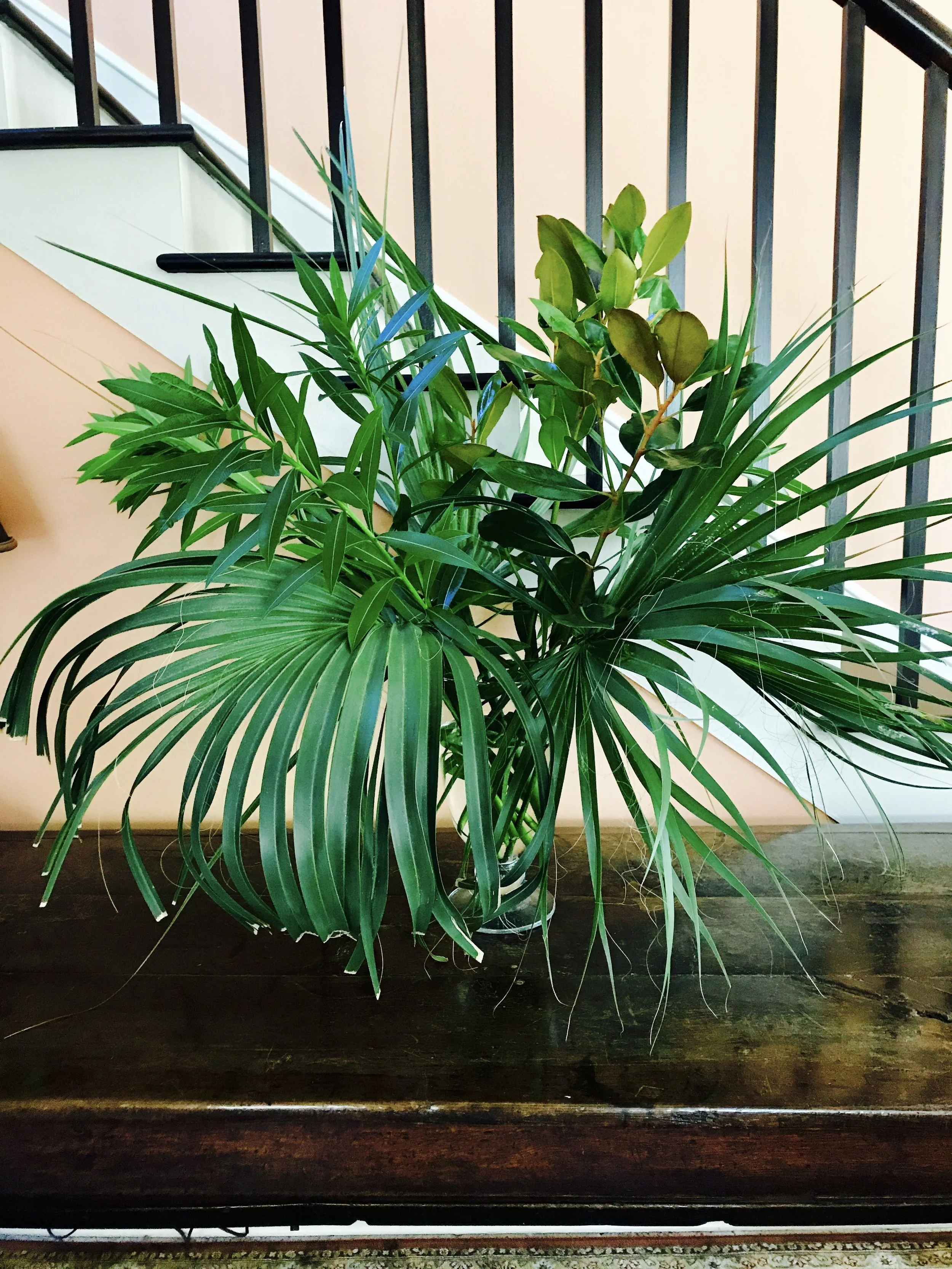 When he walks down the steps and sees the fronds, the person living here thinks, This is my kind of house!