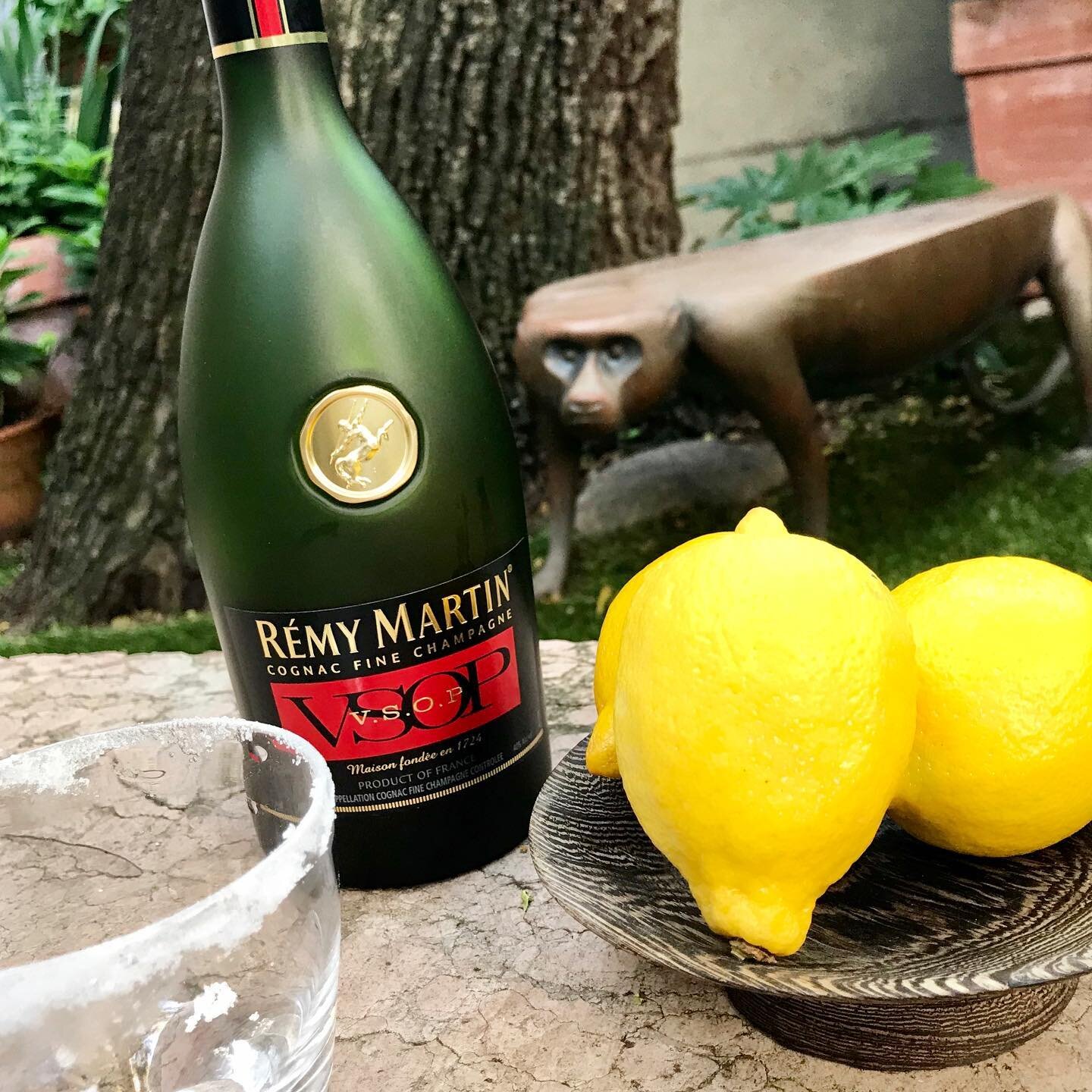 Sip with Suzanne. This week&rsquo;s topic: The Brandy Crusta. Rather theatrical with the long lemon curly twist and the sugared rim. Learn it all! Ingredients needed: Cognac, a lemon, dry  Cura&ccedil;ao, maraschino liqueur (or cherry brandy), angost