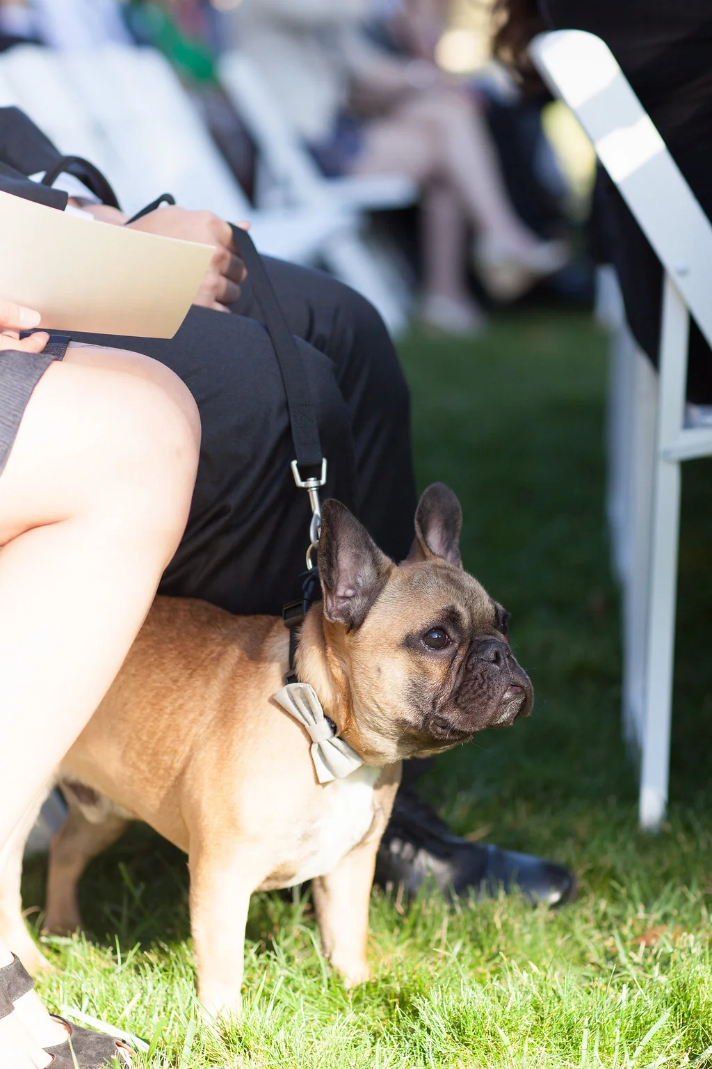 Robinson-BognarWedding-408.jpg