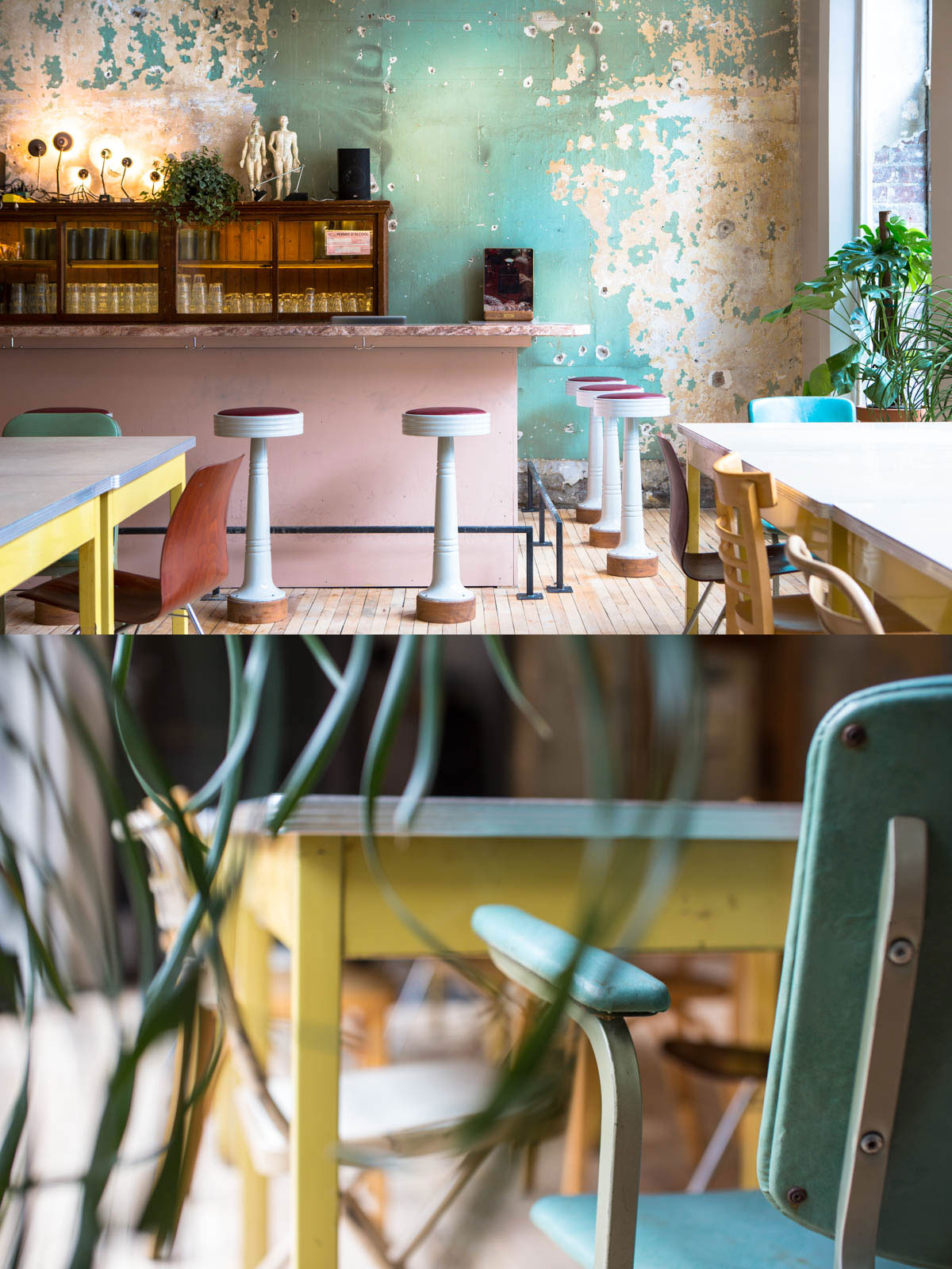 CafeParvis2ArielTarr.jpg