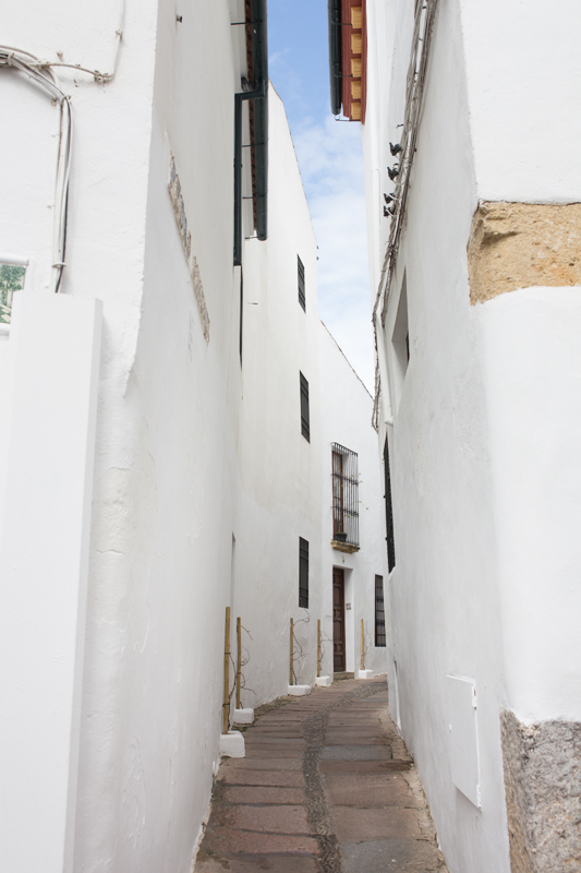 Another beautiful alleyway / Une autre belle ruelle