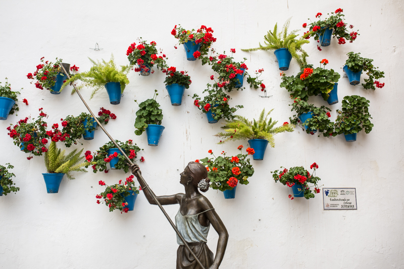 Cordoba is famous for it's potted flowers. Cordoba est connu pour des pots en fleurs décoratifs.