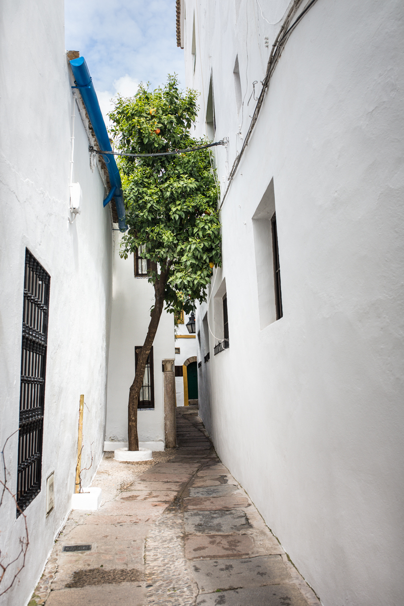 Calleja del Panuelo (Hankerchief alley)