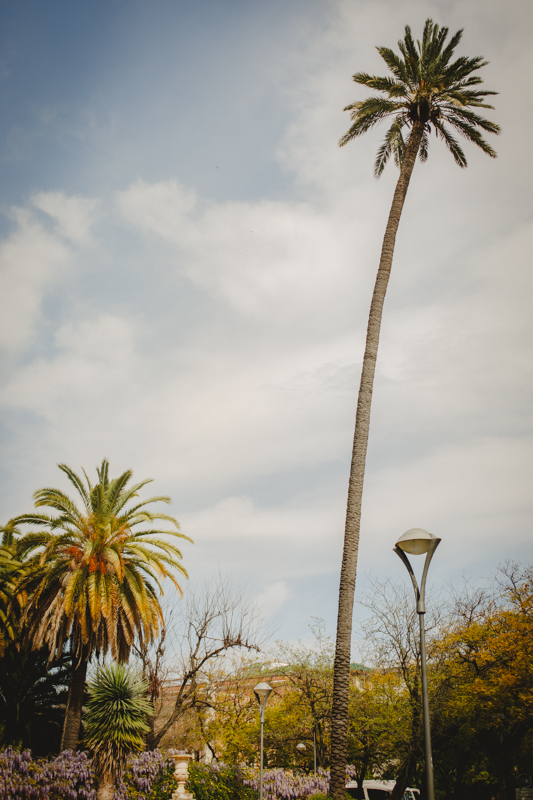 Sevilla_ArielTarr-32.jpg