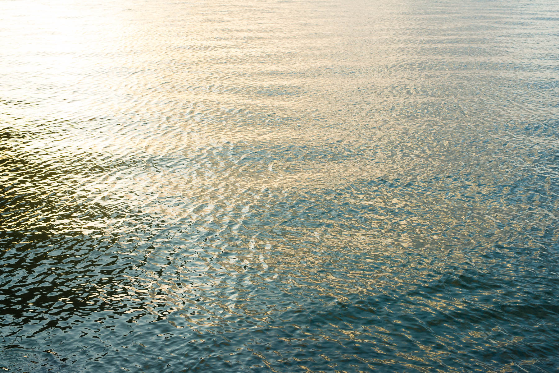 Miami_4x6_ATarr-5516.jpg