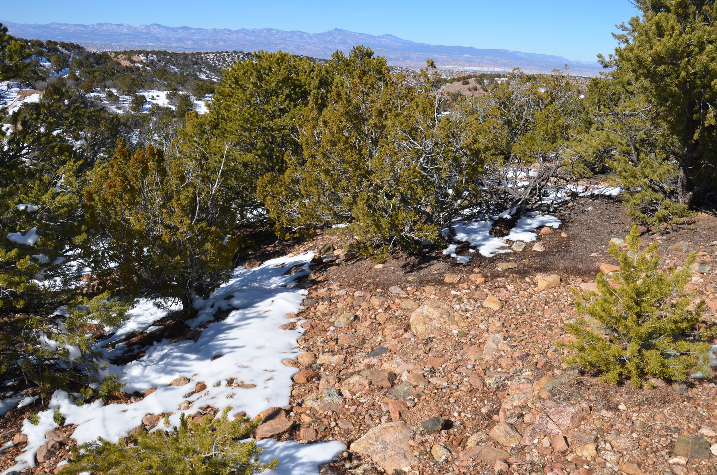  Southwest landscape view 