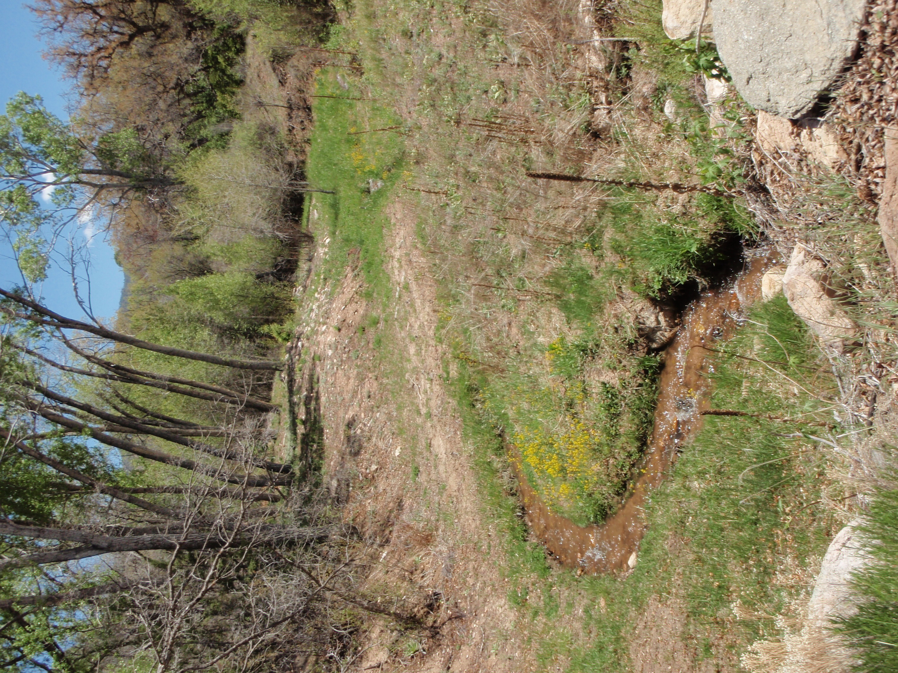   The Rio En Medio, an easy few minute walk along a little traveled dirt road  