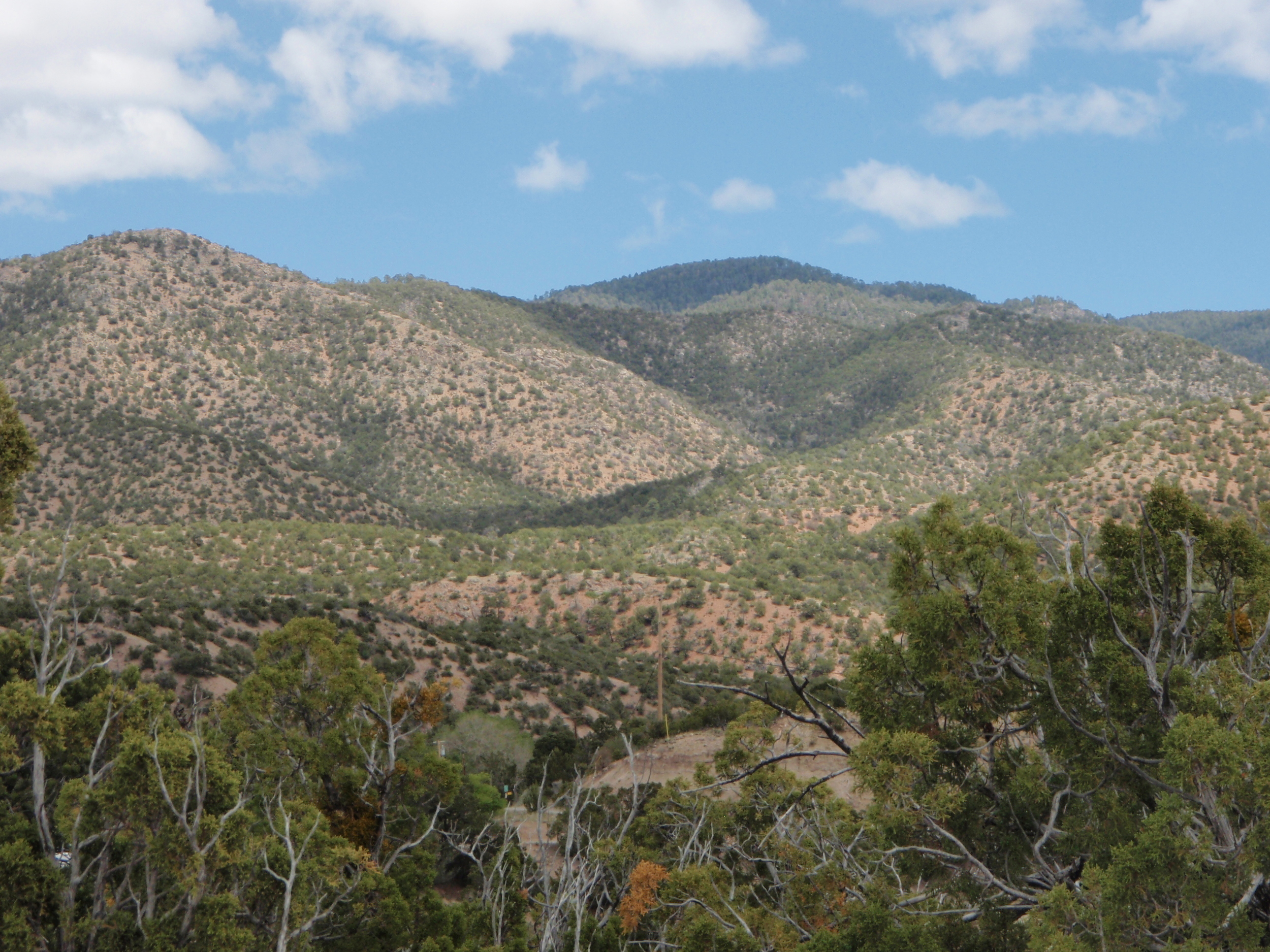  The&nbsp;Sangre de Cristo Mountains 