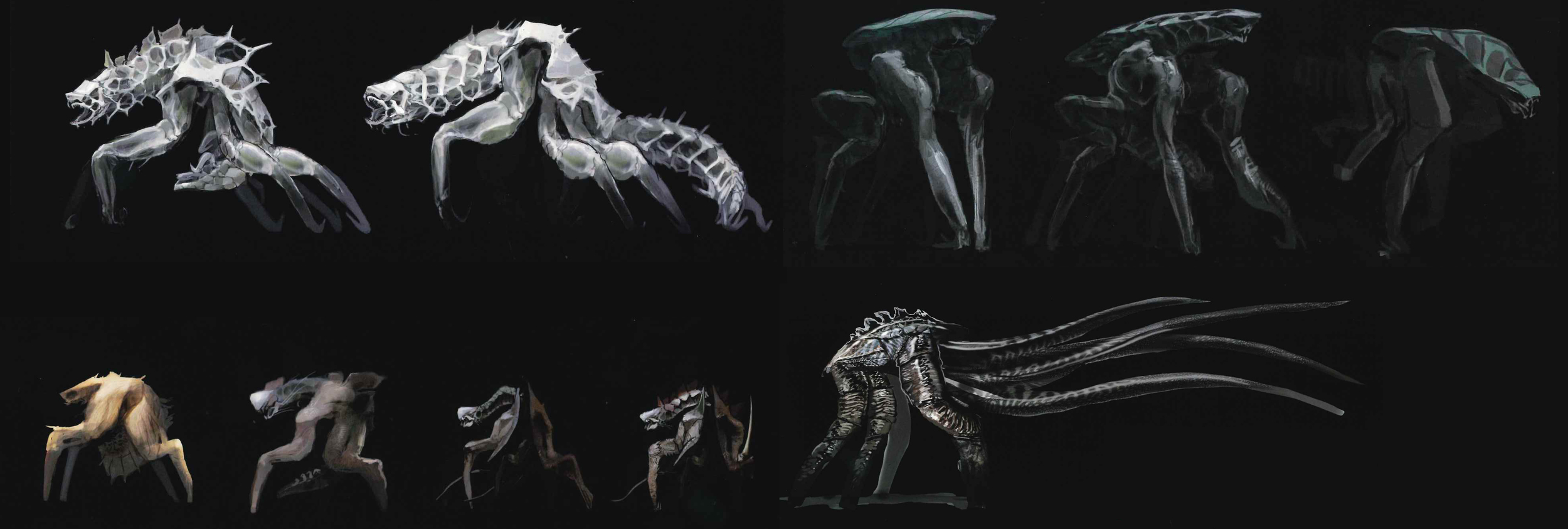 Evolución de los Mutos.