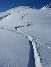 Ski tracks.jpg