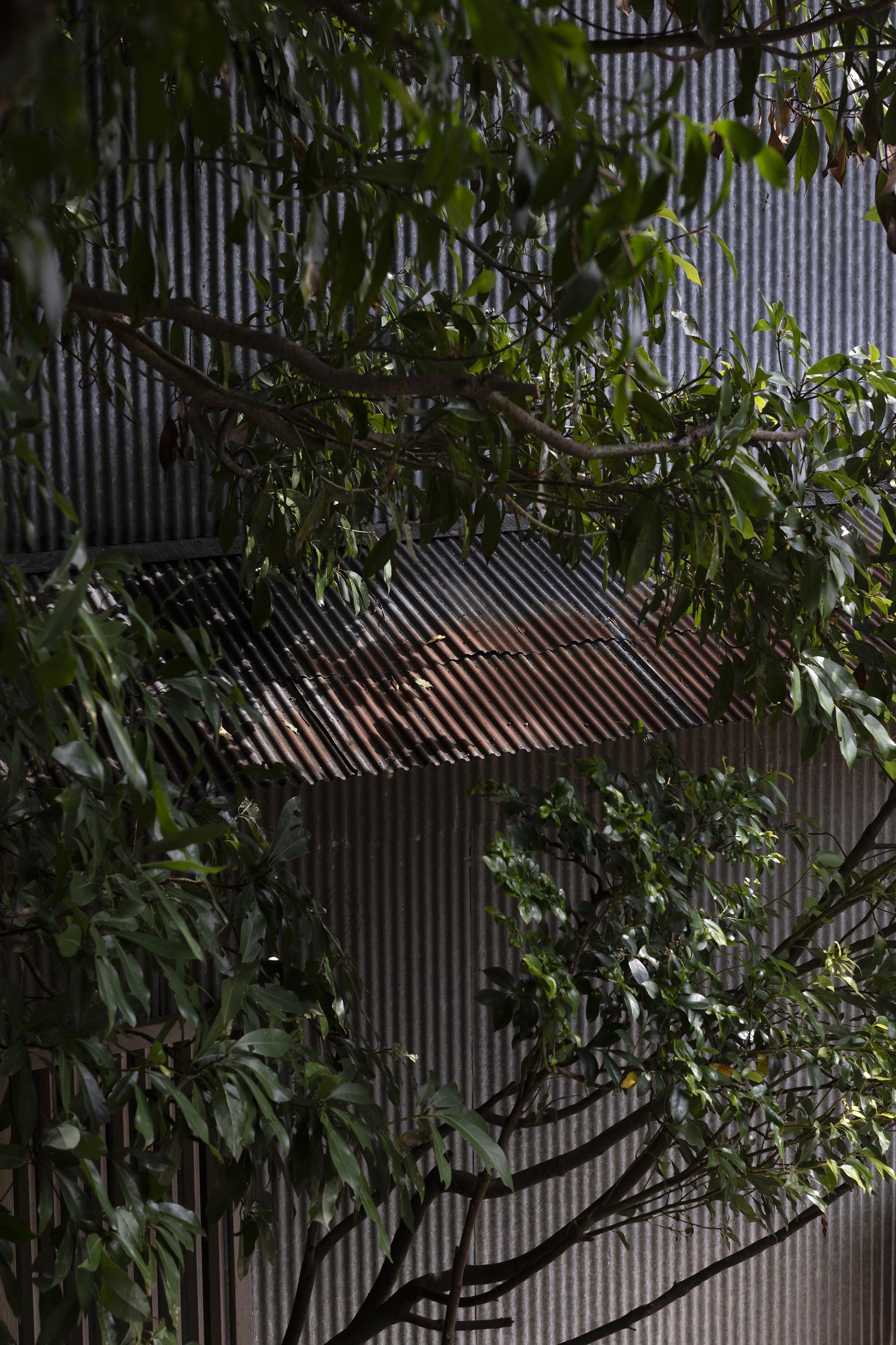 WITH LOVE BIRDHOUSE 02.jpg